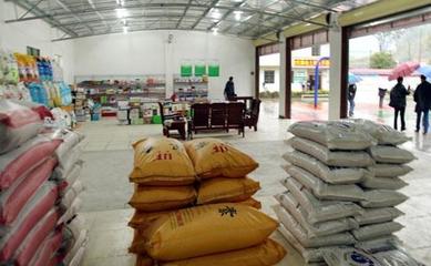 深耕縣域，掘金農(nóng)資 化肥農(nóng)藥種子縣級(jí)代理經(jīng)銷(xiāo)商的機(jī)遇與挑戰(zhàn)分析